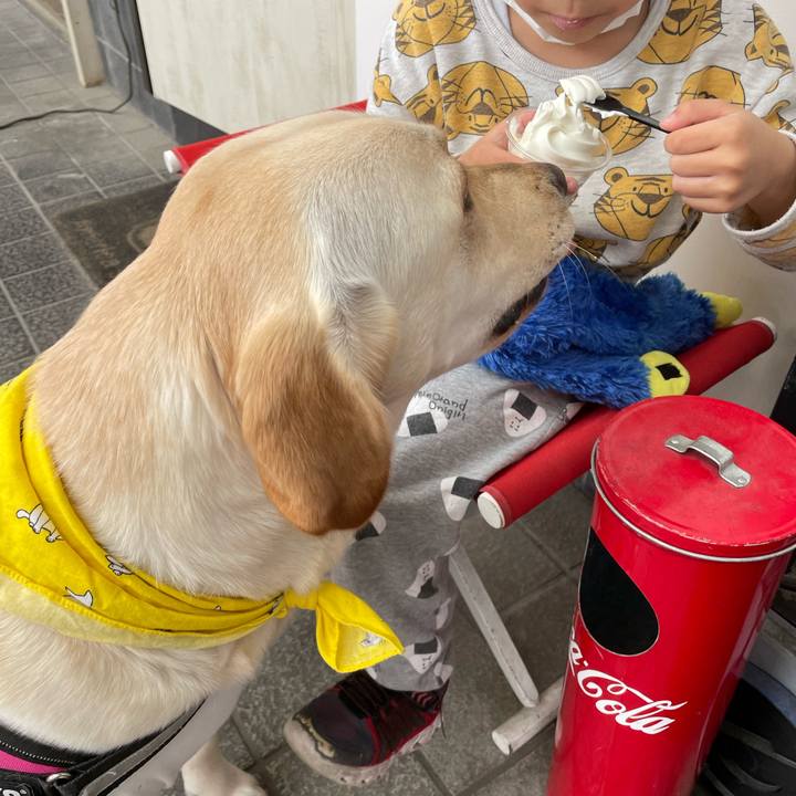 5e38049f 2135 4cb8 82c9 e6e2c30595f2 1650029131504