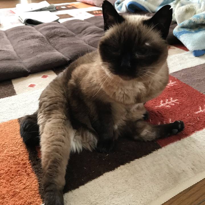 5e38281f 1abc 4651 b30e 5c3725bdfc50 1593918823758