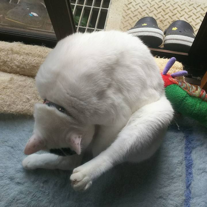 5e3828ed aea5 44be be09 6165e0400bff 1531353707812