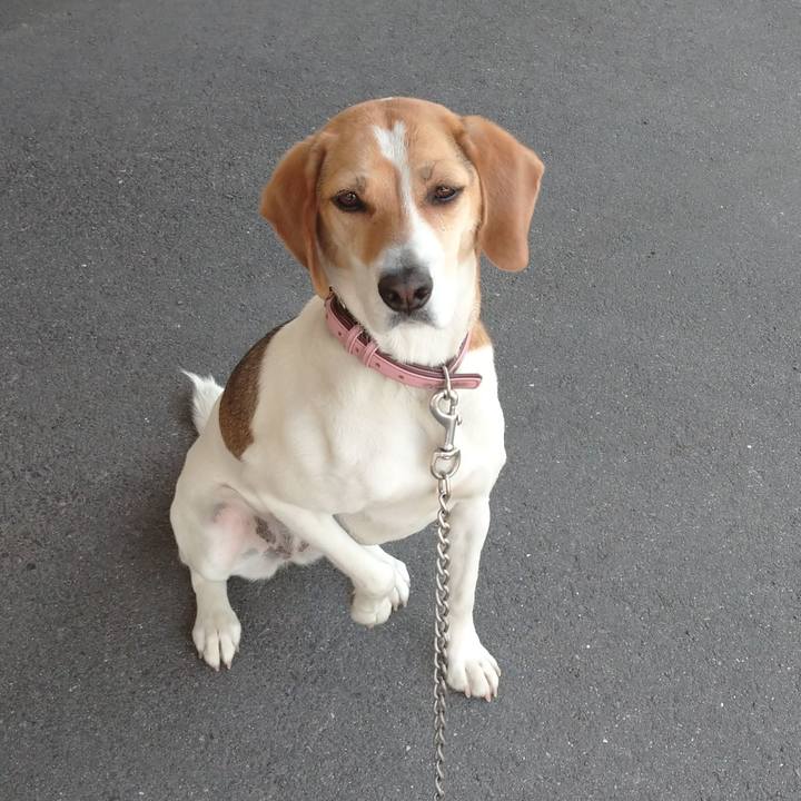 5e384f09 bf79 42e6 927c b1809face9b6 1591612916462