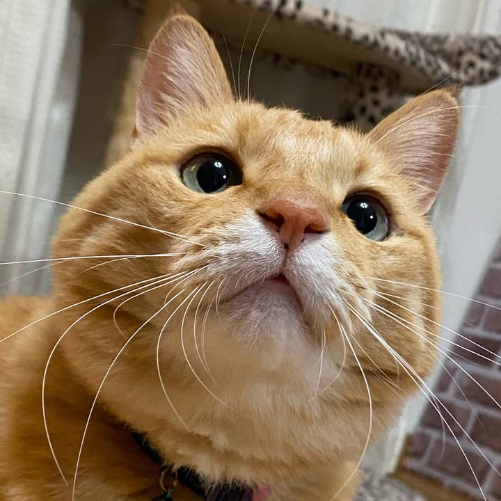 5e3857df d5aa 4a0e 9eae 2c2ed37122a9 1666415126077