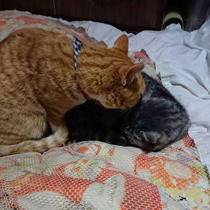 5e387788 c93d 4862 b09a cd9d9700a4ba 1574164249763