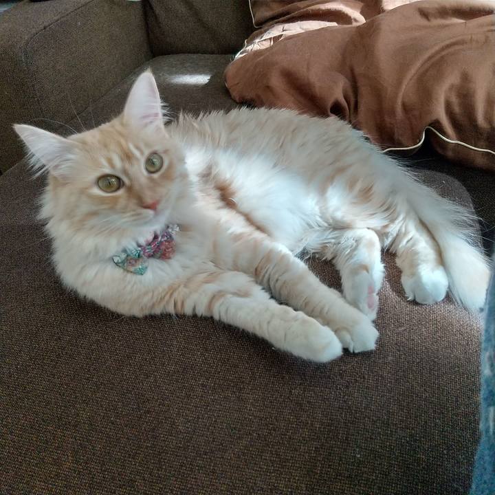 5e387f55 268d 4440 b309 83b44da5206f 1643266074100