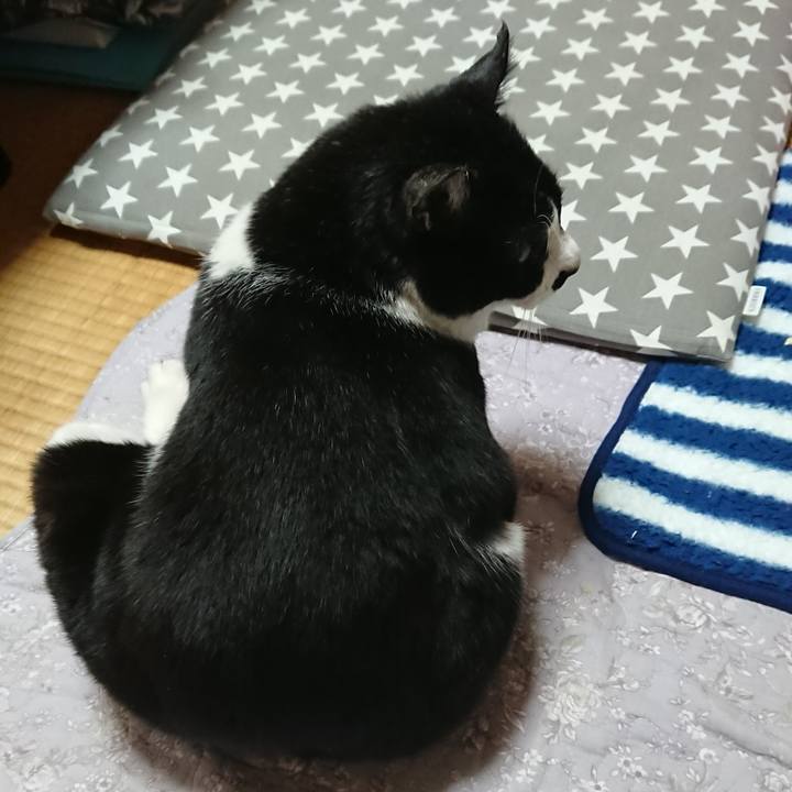 5e38a853 d0b8 4a25 9411 bf56dc2e3fa1 1549858182308