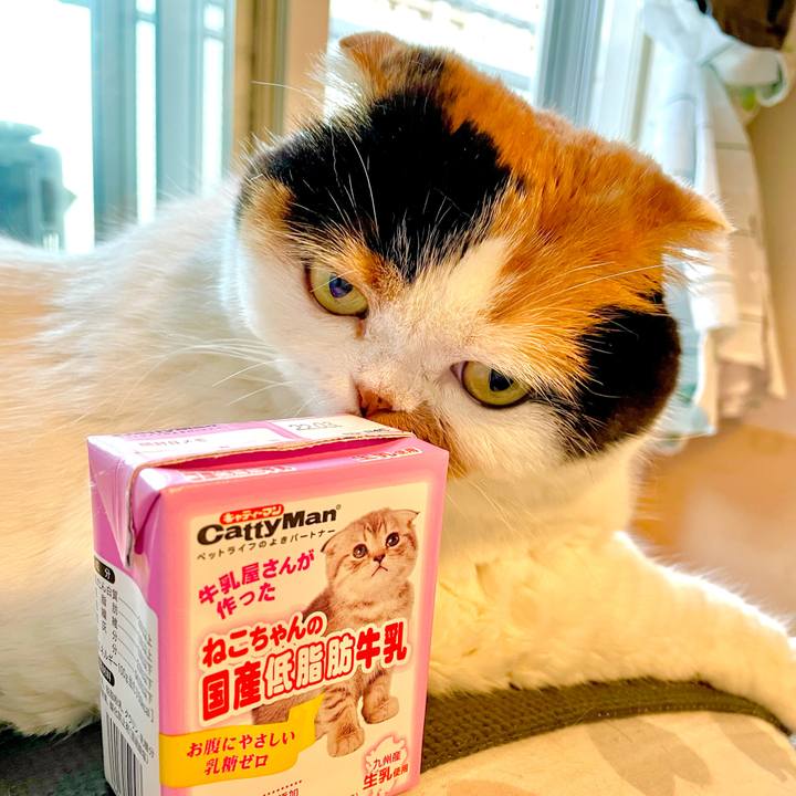 5e38fed9 6be9 442e 94c4 03963081fc55 1623557190858