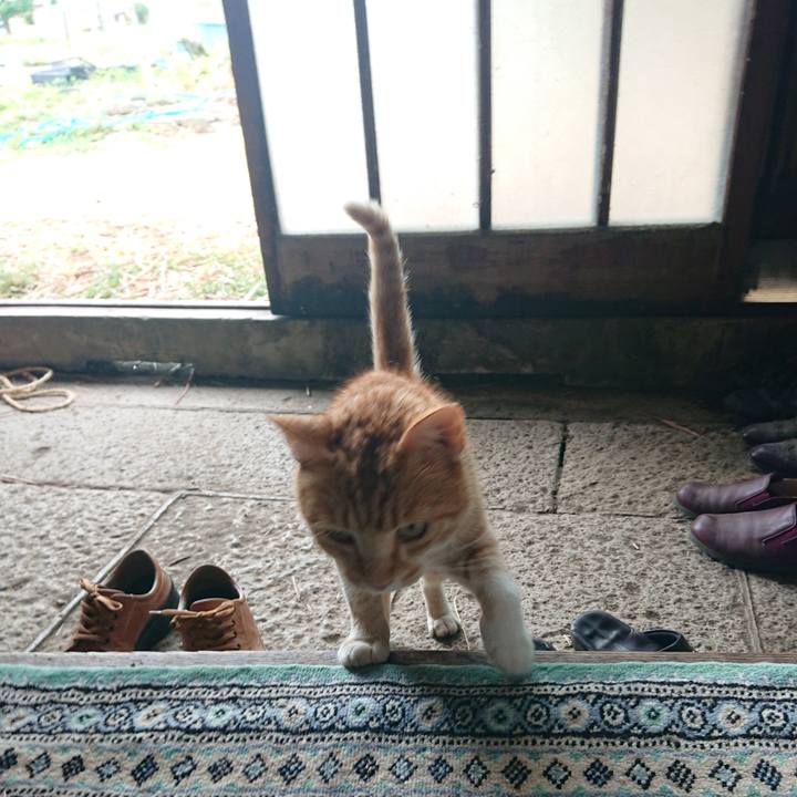 5e3916a3 ea0a 477f b9f0 7b3fa32ef701 1591915009705