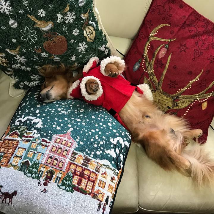 5e391ab6 a19e 4474 8d7e b0189cbac791 1513429283032