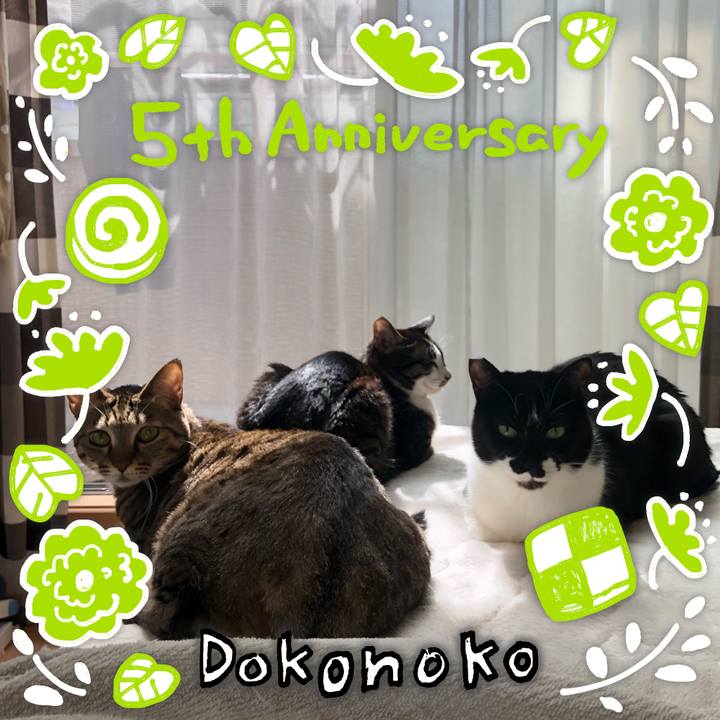 5e39571b b70f 4f62 85cc eca09e7e23b4 1623011903144