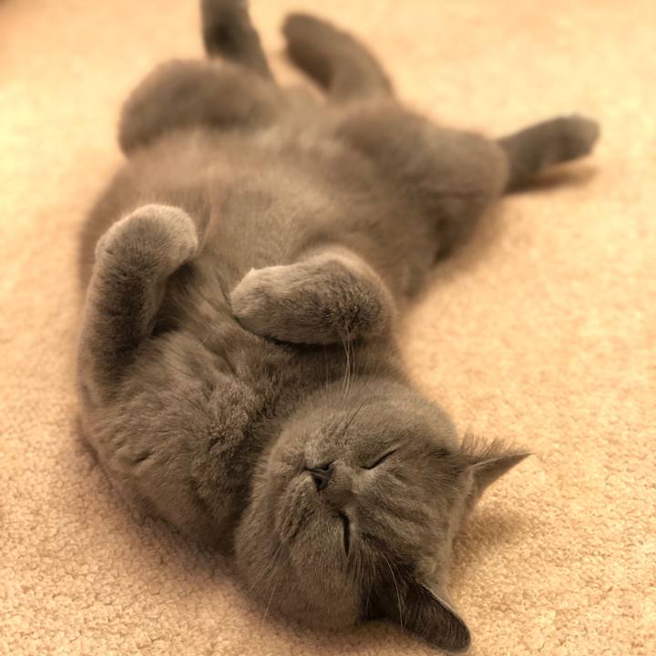 5e396265 11ba 4fd0 8827 54a8aac9581e 1541173866996