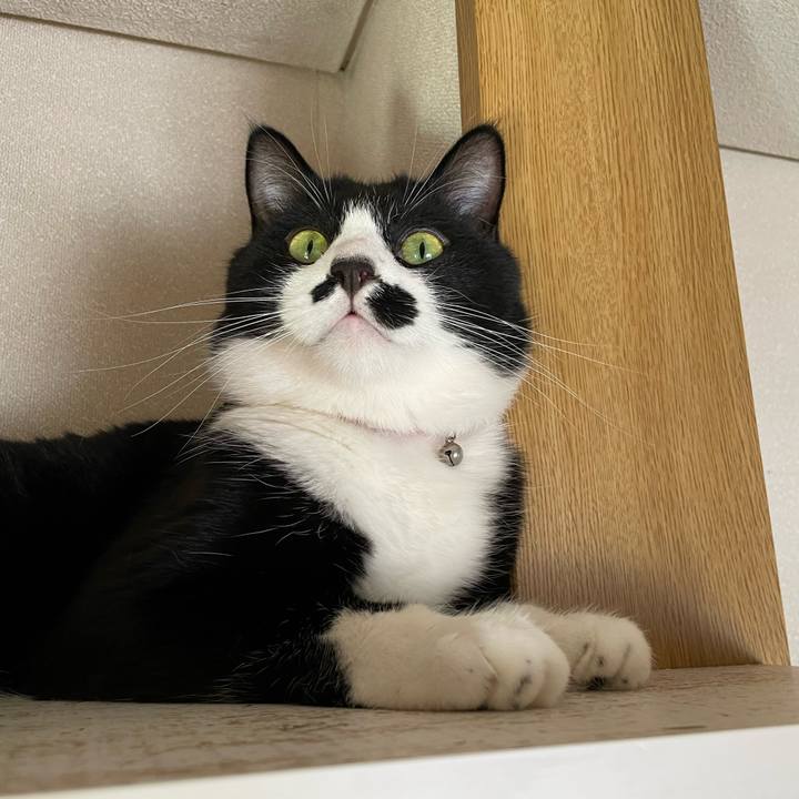 5e397eb2 b616 4a78 b790 5cc08affe0ab 1659317185852