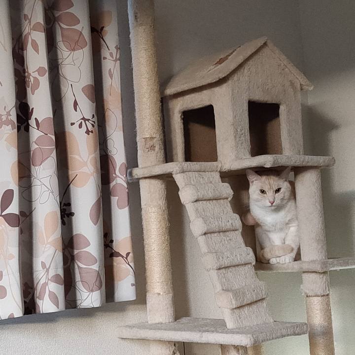 5e39bfbe 33f0 4a83 9c85 3b6b6a7cadac 1669931825492