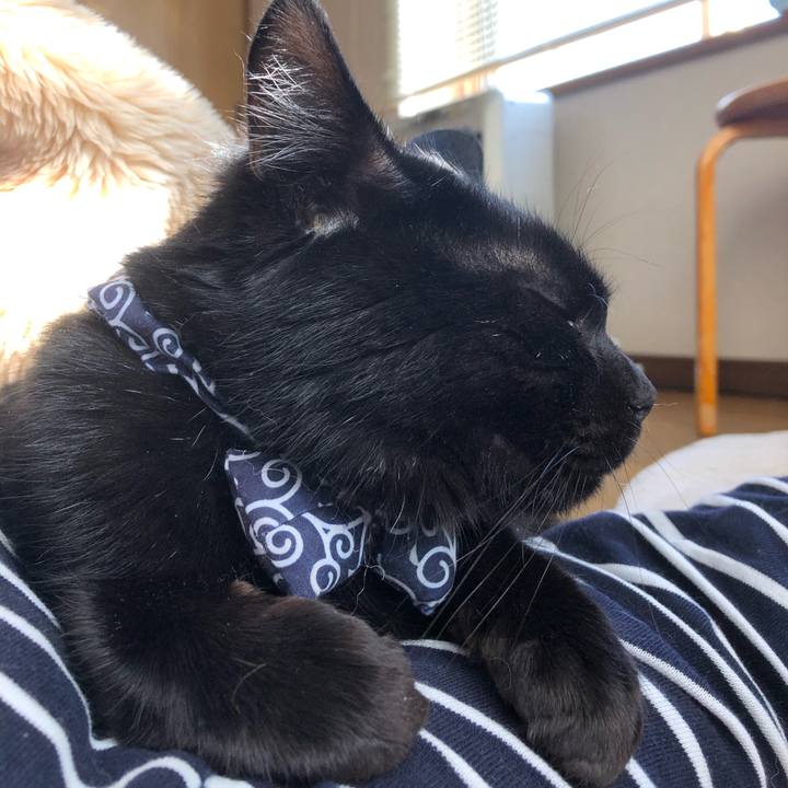 5e39e910 1f94 4d05 9f6f 25590b823851 1559218884518