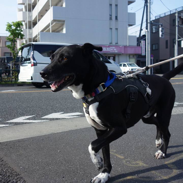 5e39e9e0 8a85 41fd 83ec 92cfdebd0b76 1651712071917