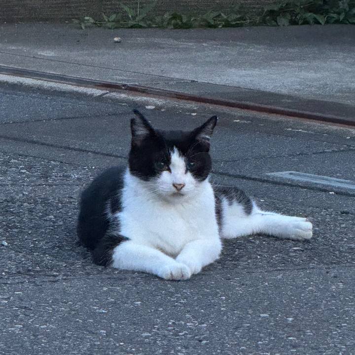 5e3a11f7 e15c 40c8 9def 2025b850180f 1755812736701