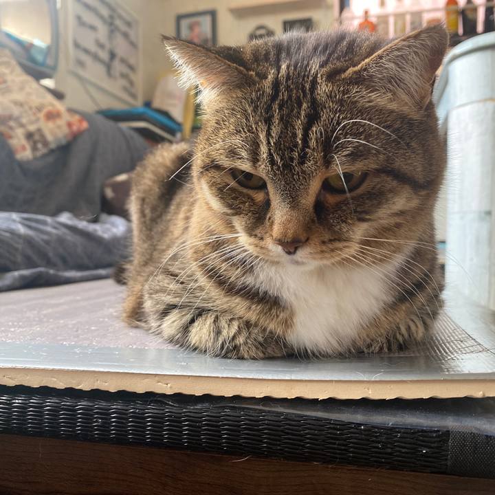 5e3a17ce c663 475a 836b b1585d68e6ad 1651801321283