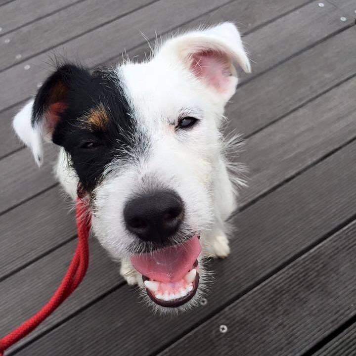 5e3a210b cc41 42f8 a8a6 30508f77013f 1591364794198