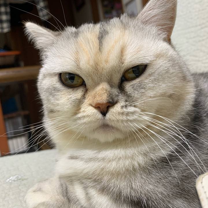 5e3a665a 59eb 4c04 997a 4e832dbacd72 1712934060957