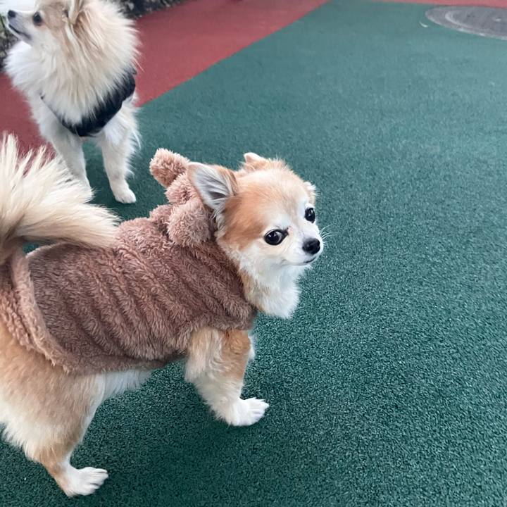 5e3aacb2 b066 4a0d bd2d 65632ee88a5d 1767869431369