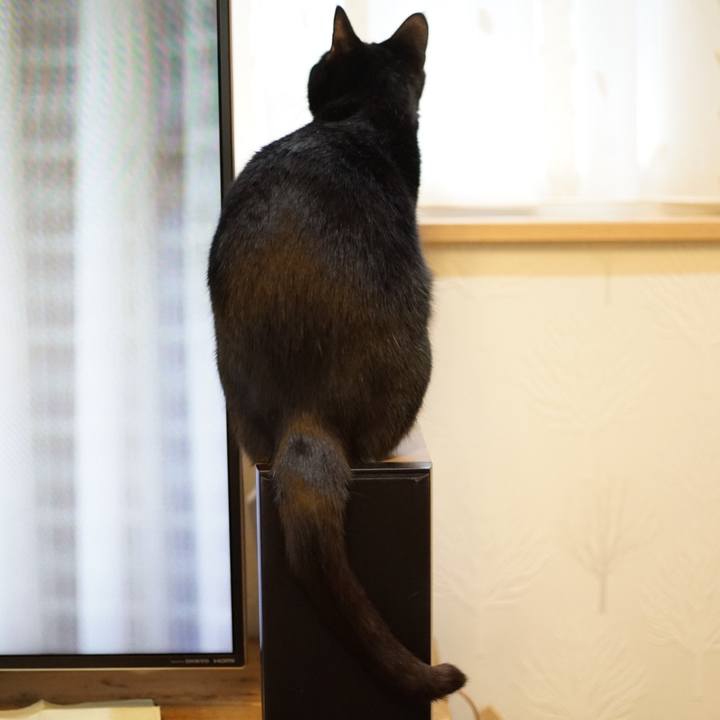 5e3abc32 731f 4901 b6d1 fb38390721f1 1519169531479