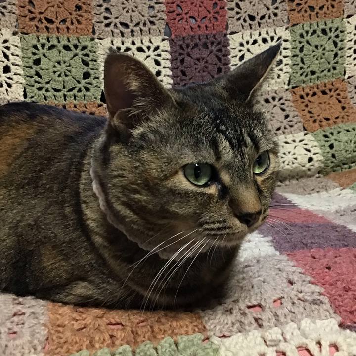 5e3ad181 0a3d 4d2b b174 64e4b17ca0a7 1717751423469