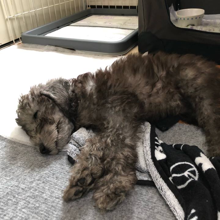 5e3aeb2a aebc 49ef a858 314b6a099874 1569645809784