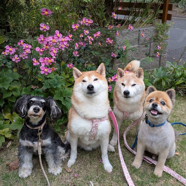 5e3afafb 7955 4f33 a3fc 10aafe785f89 1760324258601