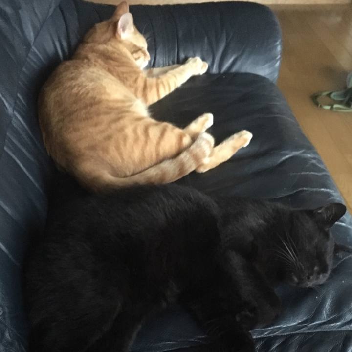 5e3b2d25 9eaa 40c7 af55 8dd0ebf0a28e 1534149074244