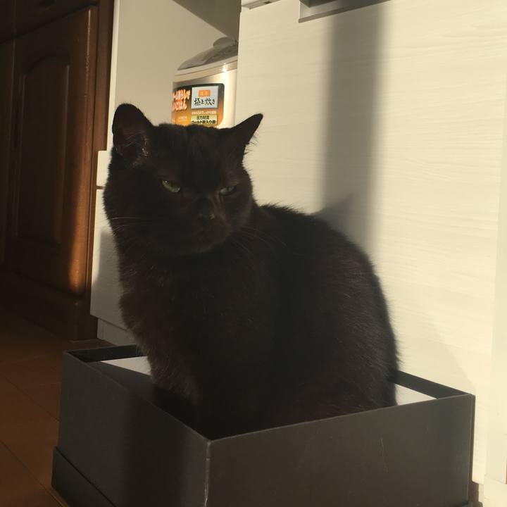 5e3b4335 debf 415f 9006 ba18ed7374fa 1545352463173