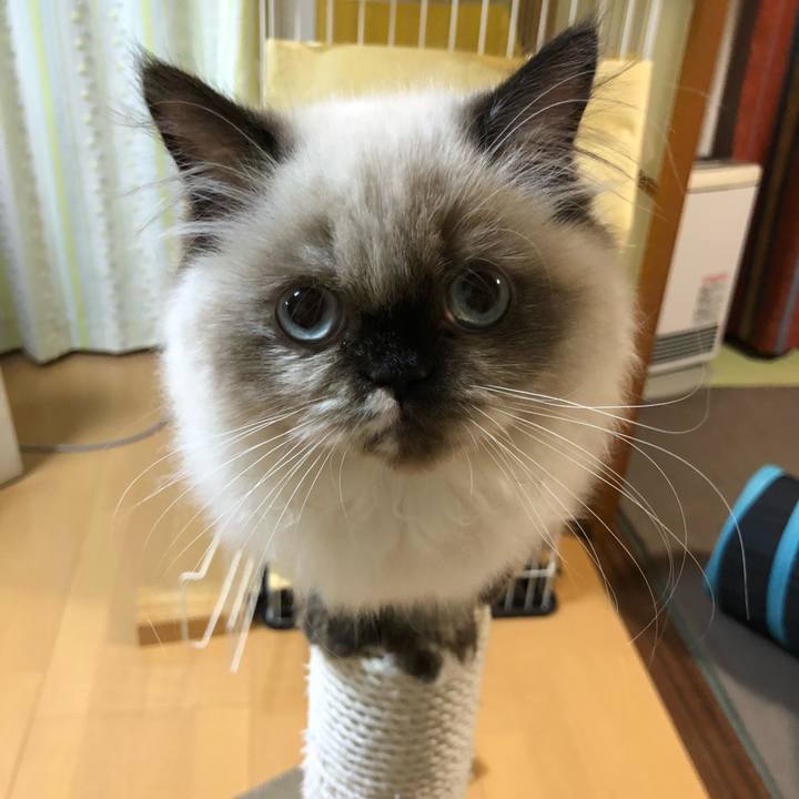 5e3b7d4e 6310 4310 887d afe54ca7cc03 1633695679475