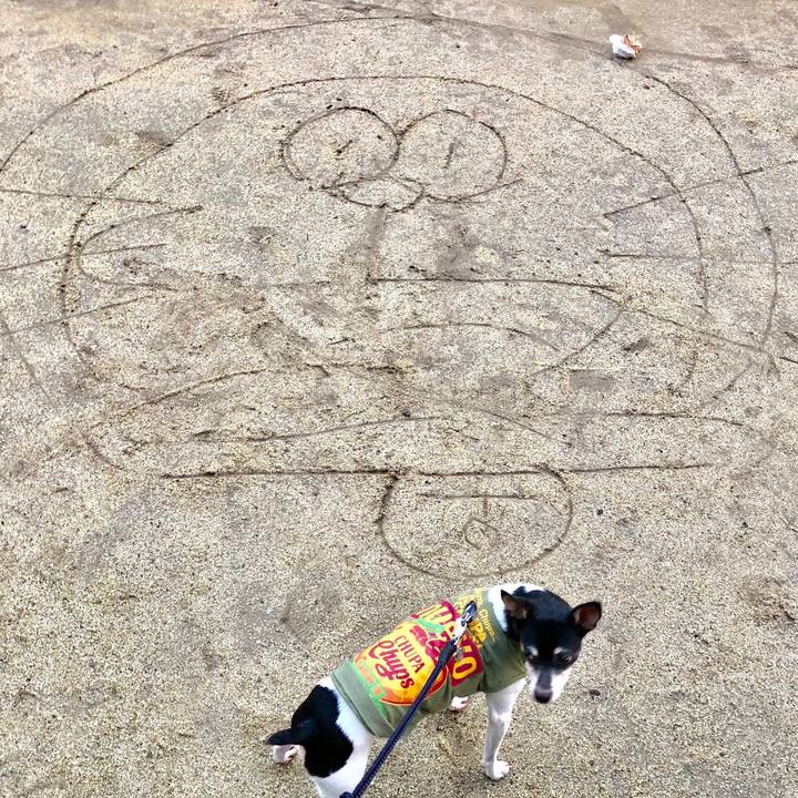 5e3b7faf 344f 455f b97e 8cdc83c9094e 1510750396119