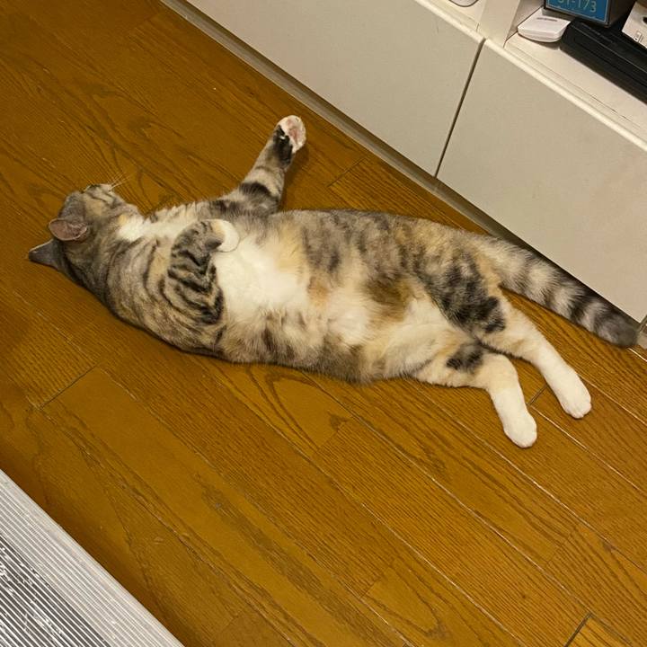 5e3b845a 259f 418c 88cb 4922c4fa528e 1649766207345