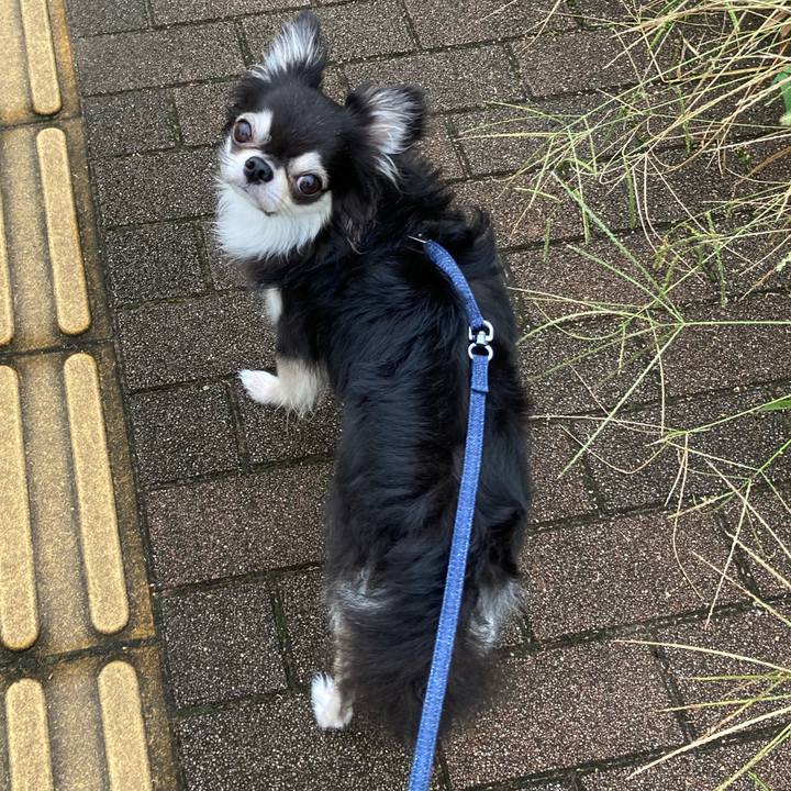 5e3b864c 43be 4fe0 820b 34855a8a9c94 1663474210262