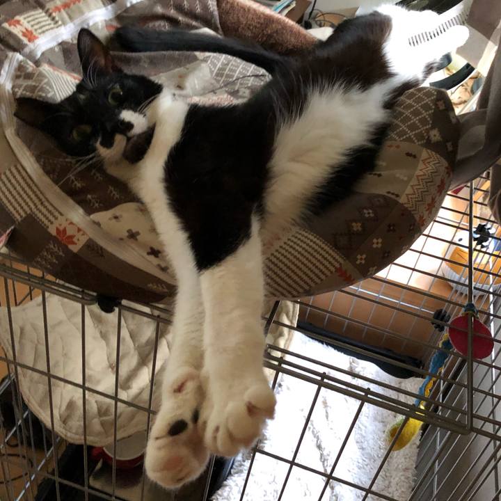 5e3b9633 e6ef 4033 8539 18b44cefb987 1560679526548