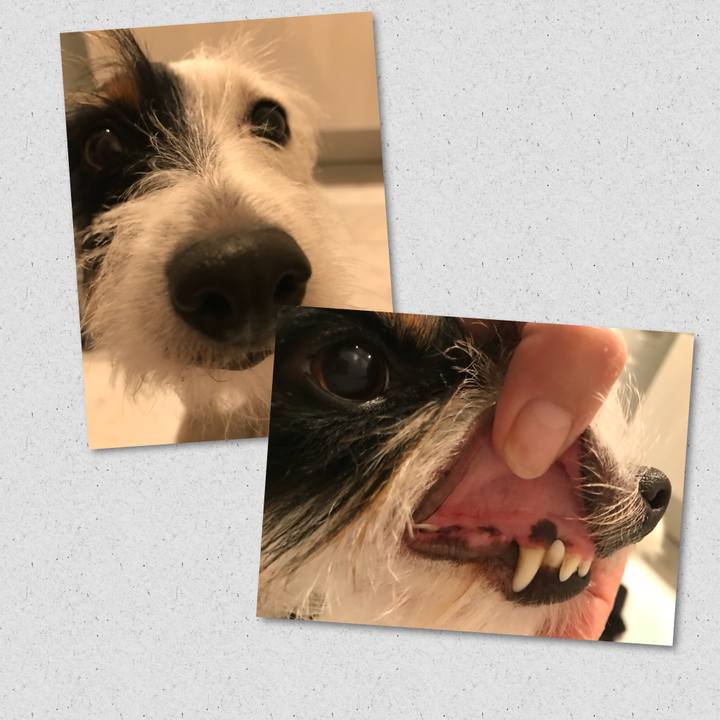 5e3ba472 8feb 438c a7a3 74674a11dfbd 1509974206425