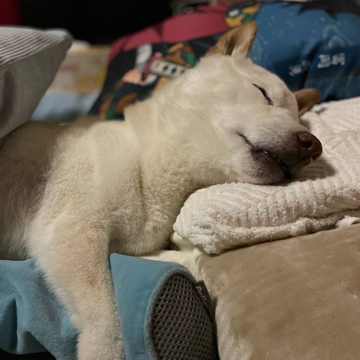 5e3bb156 41e6 4baf 9d41 1ade750587ff 1647011302390