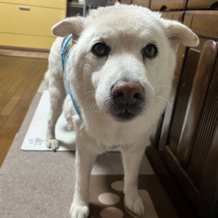 5e3bb485 3aa3 4653 994d d17967db53a7 1761610801463