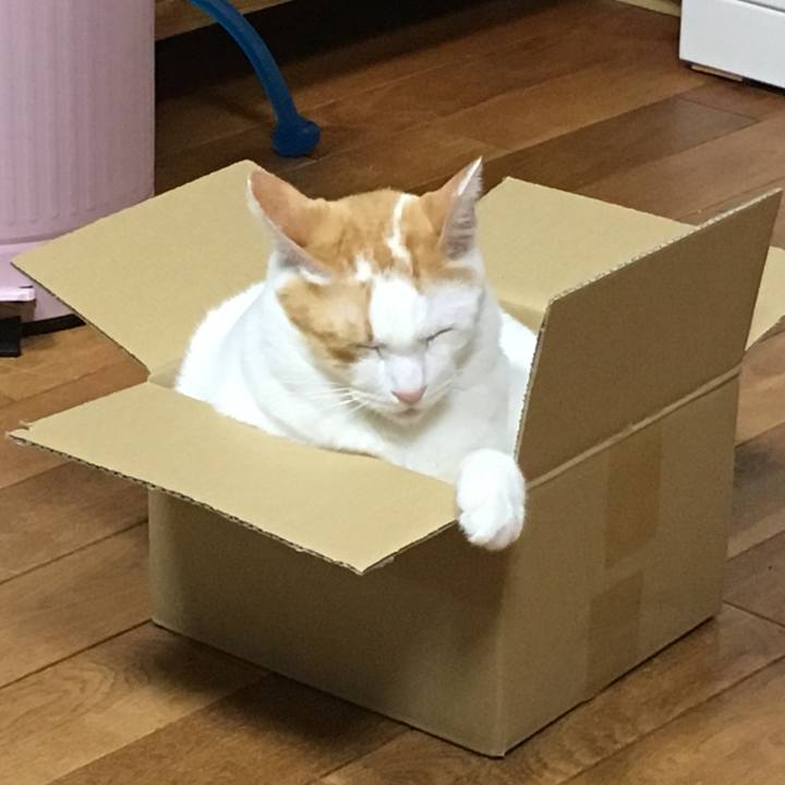 5e3bc873 120e 4360 8ece 35092f234665 1509027622381