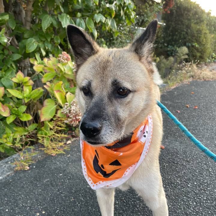 5e3bd11c 70df 44d7 a857 5d5773e3f48a 1698151129389