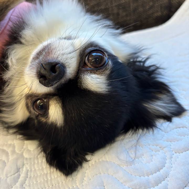 5e3be3b3 a0c2 437a beeb 77b740b15757 1763310776979