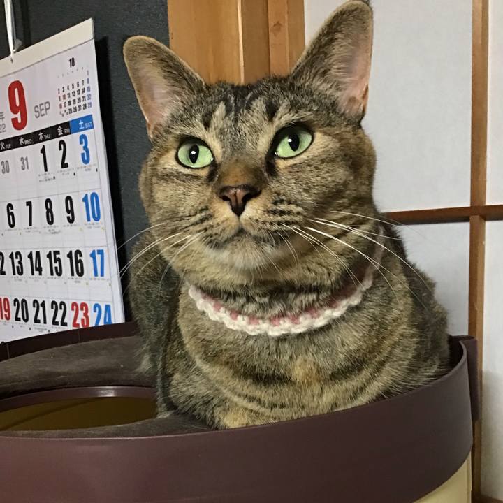 5e3c0a3d b5d3 4d2c b815 b7dc3e5f4db4 1662990707084