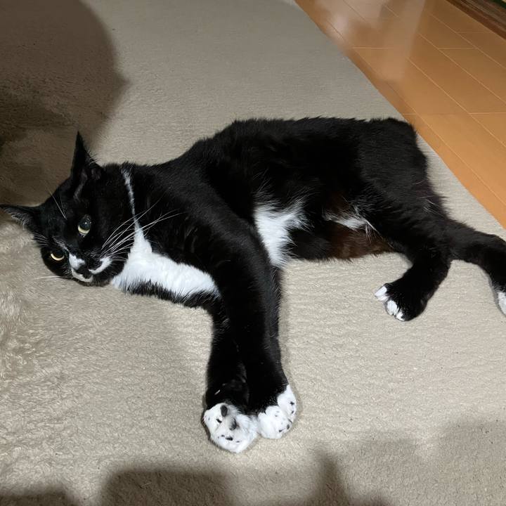 5e3c0c2a 132f 43f1 9aec bbec96404c27 1723520757464