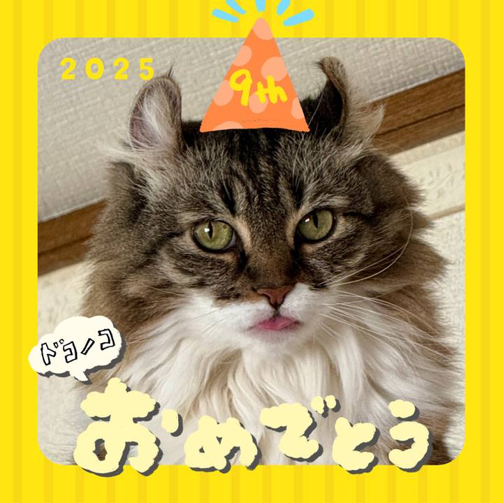 5e3c1b91 3e93 4967 8087 99bcea3fb25c 1749101488668