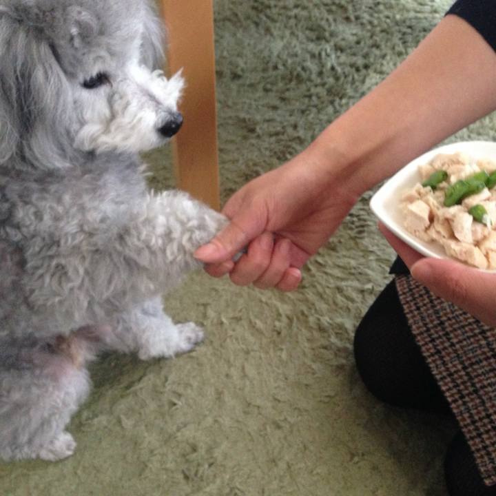 5e3c2235 de15 45f8 a149 4ce1e61c8888 1762773220756