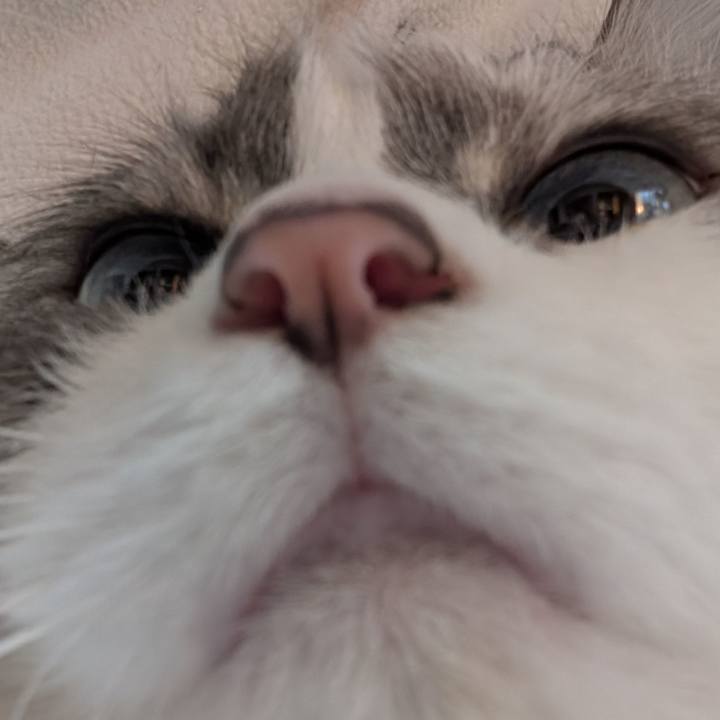 5e3c4c10 2868 4494 b369 abd0cee2ac45 1774042219911