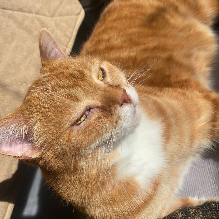 5e3ca700 9568 4d7c a9e8 ea95797894d3 1642732620238