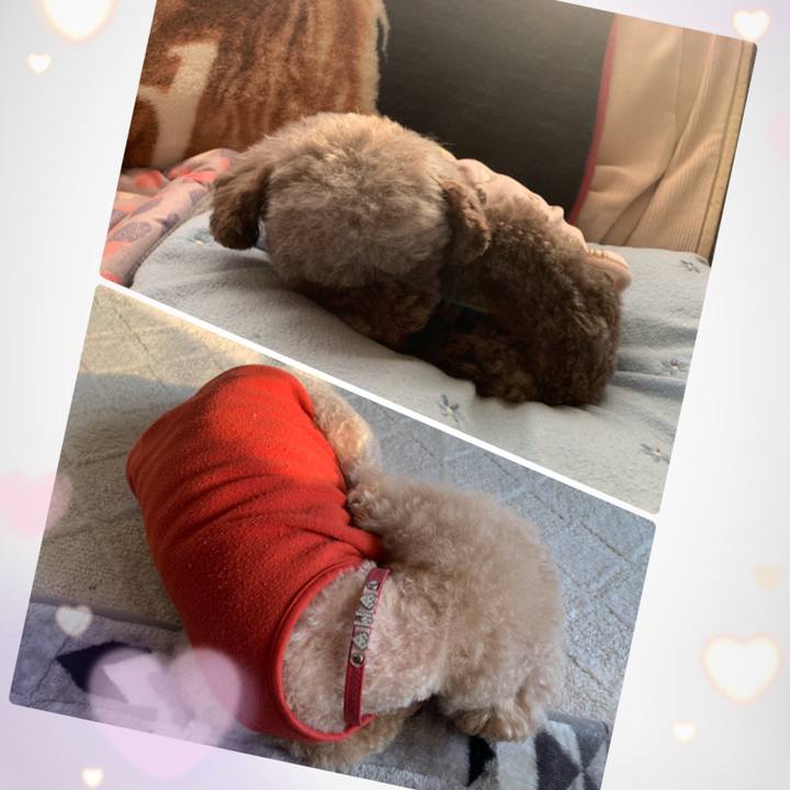 5e3ce41e 1122 4adc bfd8 99e0ce80f1af 1611813441132