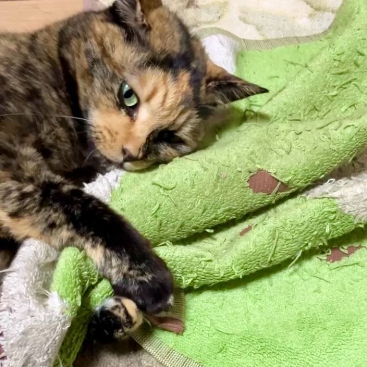 5e3ce9e5 6431 4123 ad32 48b53353b47e 1732908550994