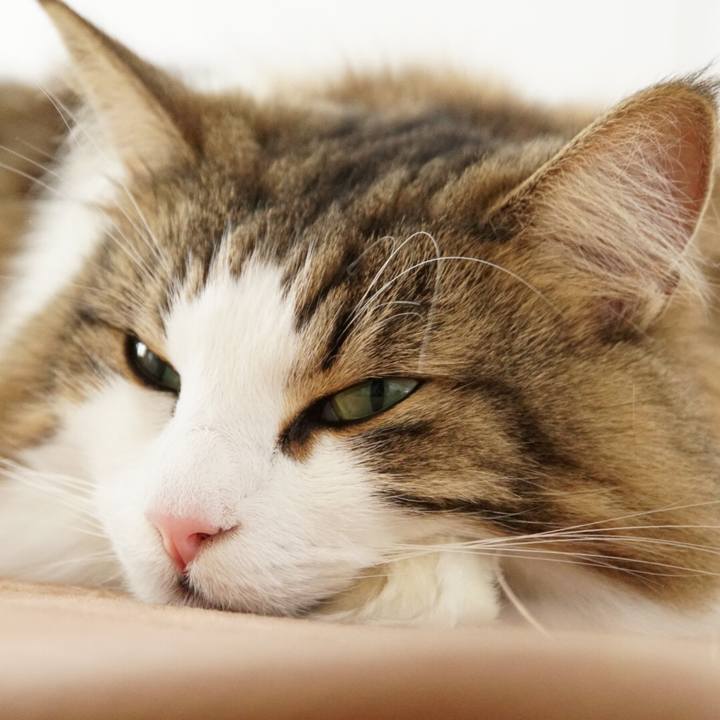 5e3d0789 6f03 49d7 b207 24a40f27a132 1543118614362