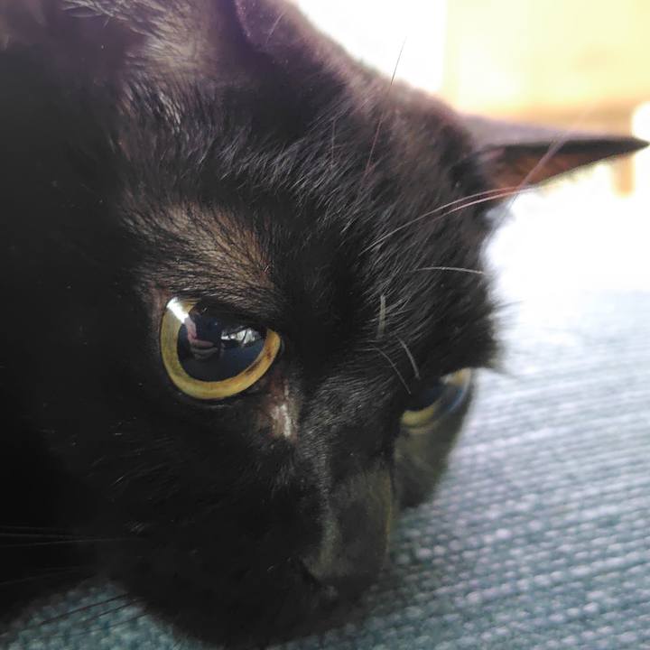 5e3d126e 7908 4a9a a3f3 2ec0728a06d3 1755959845979