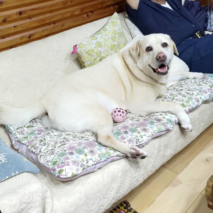 5e3d195b 40de 4214 a121 2803a730d7e2 1717292465448